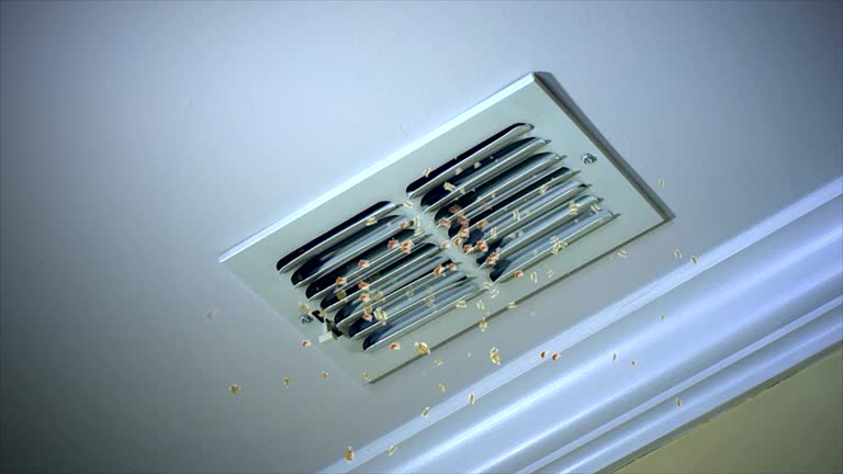 Best Air Duct Cleaning Near Me  in Clyde, TX
